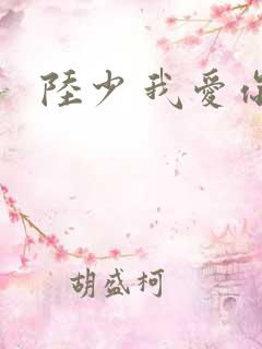 陆少 我爱你