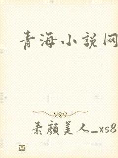 青海小说网