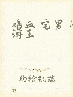 鸡血 宅男 网游王