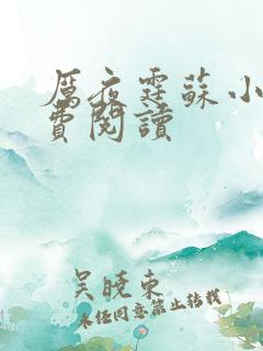 厉夜霆苏小汐免费阅读