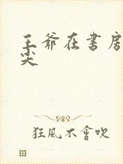 王爷在书房含乳尖