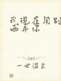 我现在用别的东西弄你