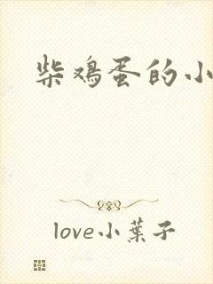 柴鸡蛋的小说