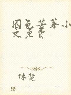 国色芳华小说全文免费