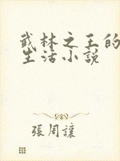 武林之王的退隐生活小说