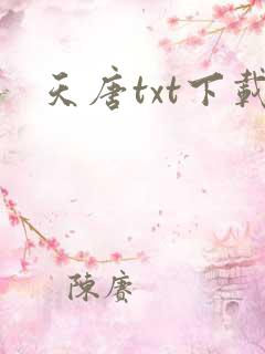 天唐txt下载