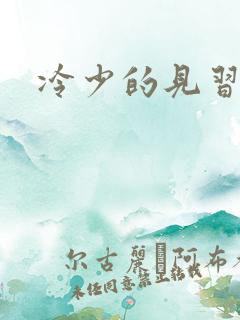 冷少的见习爱神