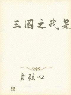 三国之我是华雄