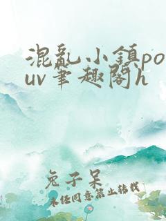 混乱小镇popuv笔趣阁h