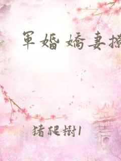 军婚 娇妻撩人