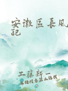 安徽区长风流日记