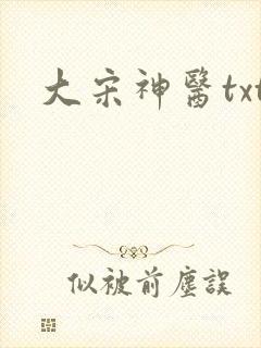 大宋神医txt