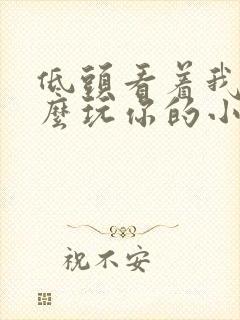 低头看着我是怎么玩你的小说