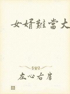 女婿难当大结局