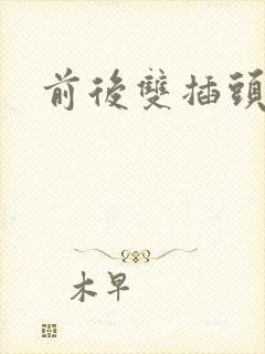 前后双插头互攻