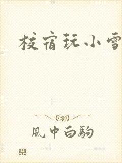 校宿玩小雪