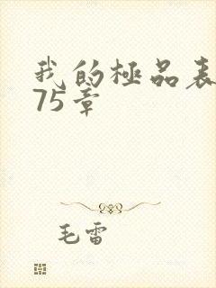我的极品表嫂第75章