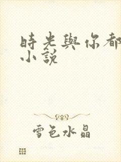 时光与你都很甜小说