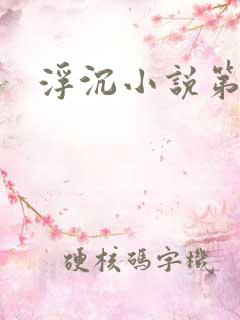 浮沉小说第二部