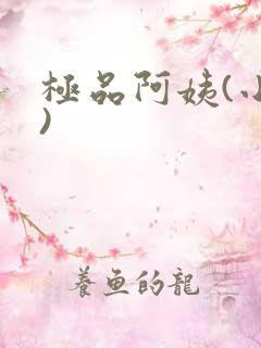 极品阿姨(小说)