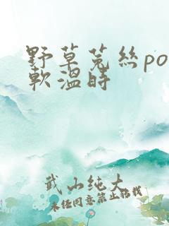 野草菟丝po温软温时