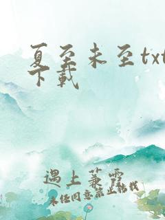 夏至未至txt下载