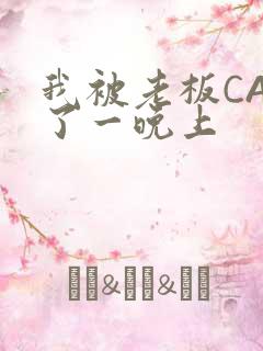 我被老板CAO了一晚上