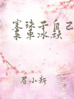 塞珠子自己排出来车冰秋