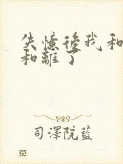 失忆后我和王爷和离了