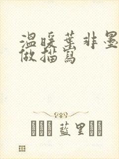 温暖叶非墨车内做描写