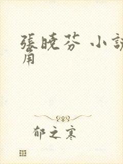 张晓芬 小说主角