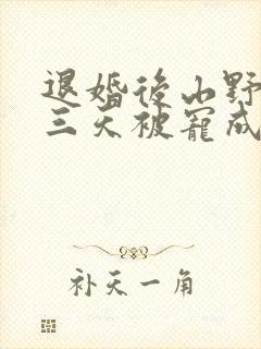 退婚后山野糙汉三天被宠成宝小说