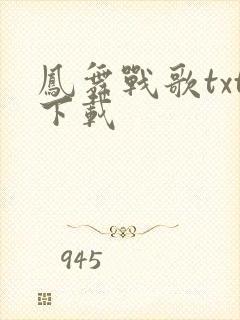 凤舞战歌txt下载