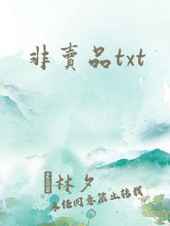 非卖品txt