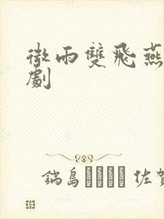 微雨双飞燕电视剧