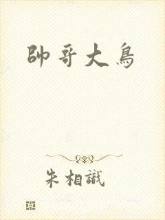 帅哥大鸟