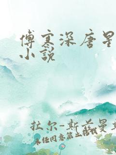 傅寒深唐星挽的小说