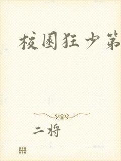 校园狂少第二部