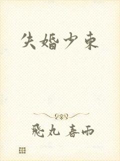 失婚少东