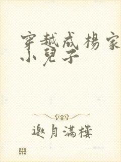 穿越成杨家将最小儿子