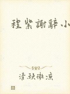 程紫谢辞小说