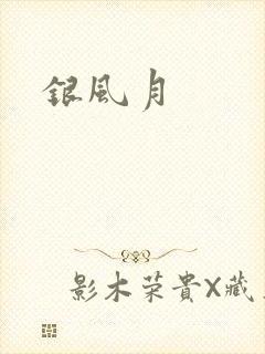 银风月