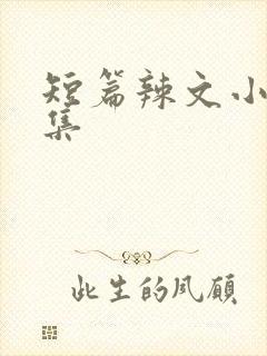 短篇辣文小说合集