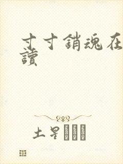 寸寸销魂在线阅读