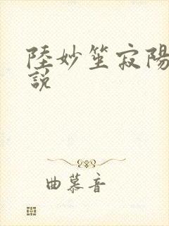 陆妙笙寂阳朔小说