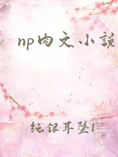 np肉文小说