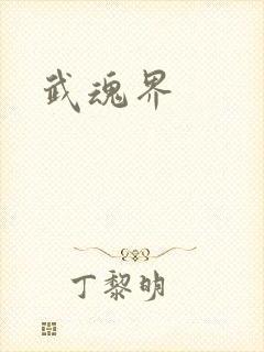 武魂界