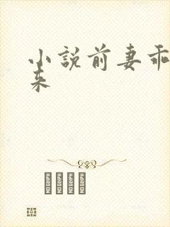 小说前妻乖乖回来