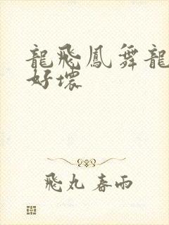 龙飞凤舞龙王你好坏