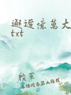 邂逅亿万大人物txt